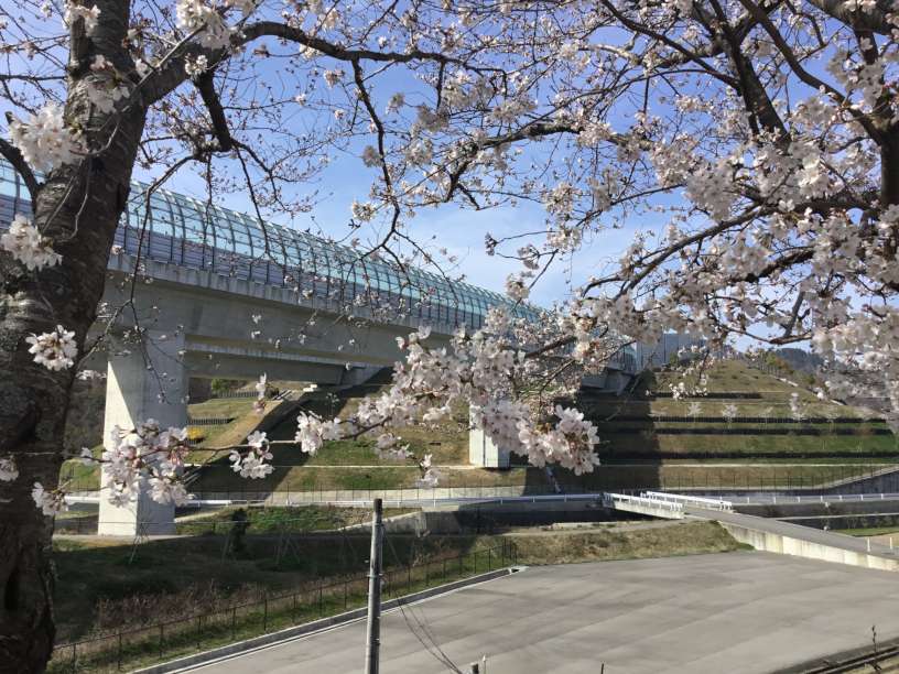医療法人社団こひつじ　求人情報
